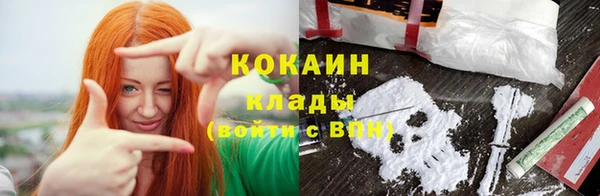 эйфоретик Вяземский