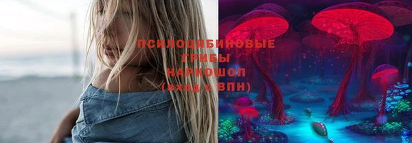 эйфоретик Вяземский