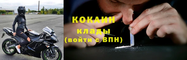 гашик Вязники
