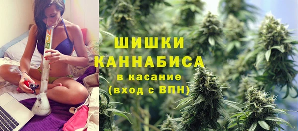 эйфоретик Вяземский
