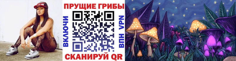 Купить закладки  Орёл  Галлюциногенные грибы Psilocybe 