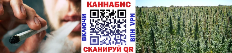 Купить закладки  Орёл  Шишки марихуана конопля 